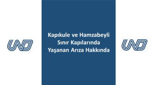 Kapıkule ve Hamzabeyli Sınır Kapılarında Yaşanan Arıza Hakkında